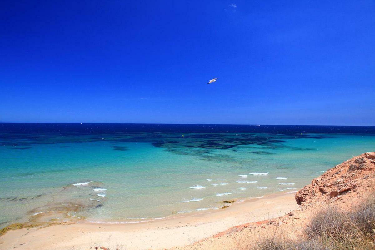Penthouse 2 Bedrooms In Mil Palmeras * Pilar de la Horadada